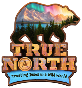 Truenorth Logo (1)